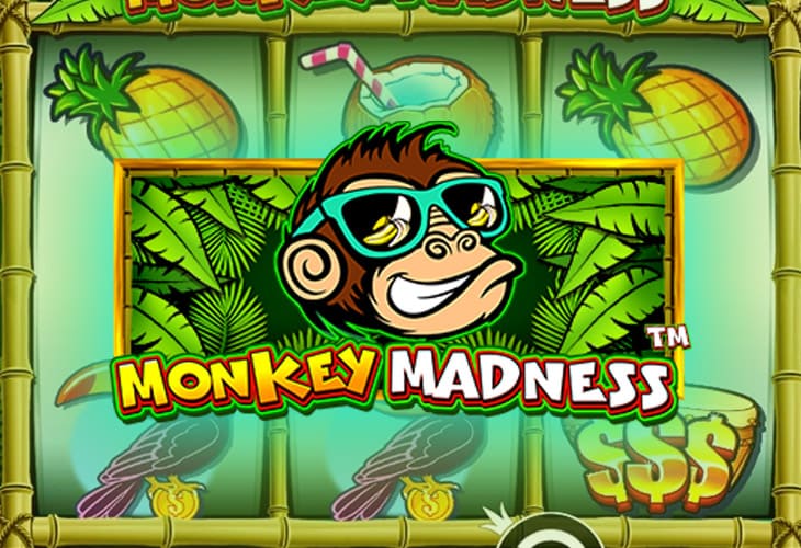 Monkey Madness - Pragmatic Play slot at Conti Casino Casino
